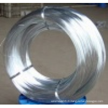 Electro Galvanized Wire Bwg6 to Bwg34